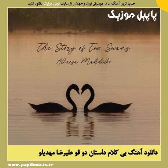 Alireza Mahdiloo The Story of Two Swans دانلود آهنگ بی کلام داستان دو قو از علیرضا مهدیلو